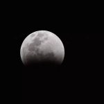 Lunar Eclipse 2024: Things to do before, during and after Lunar Eclipse | - Times of India